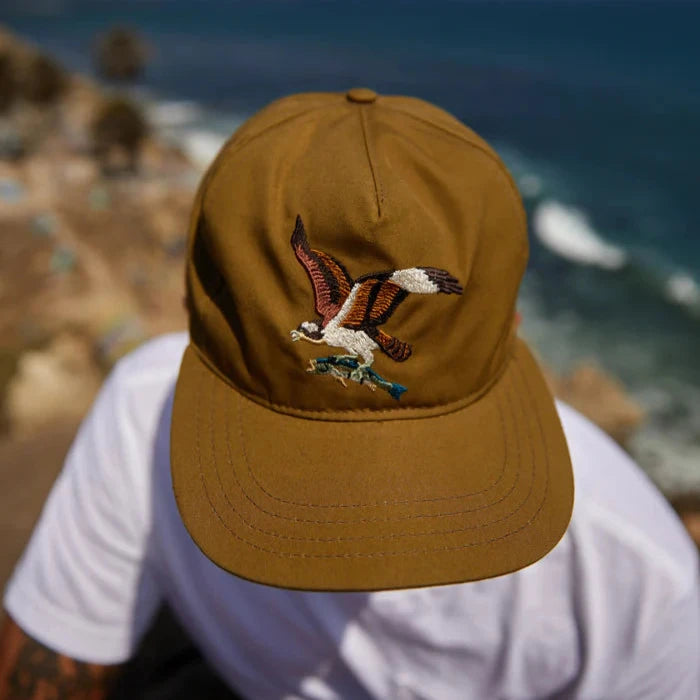 Ampal Creative - Snapback Osprey Wax Olive Brown